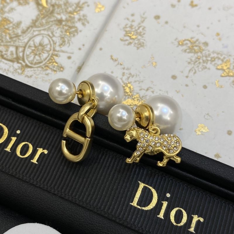 Christian Dior Earrings